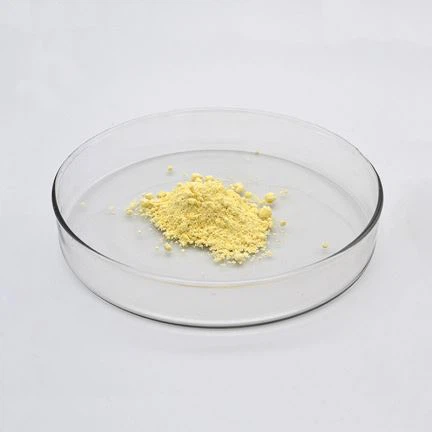 El golbon el volante el xe