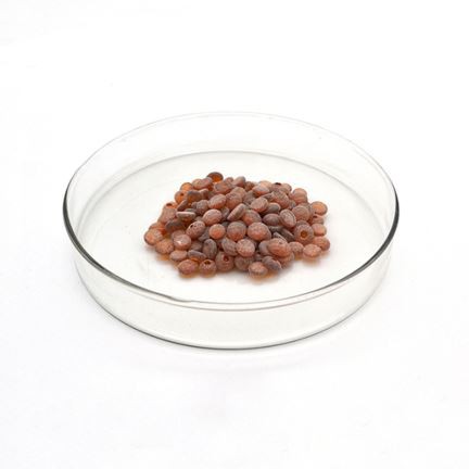 Fantante de ła goma antioxidante TMQ
